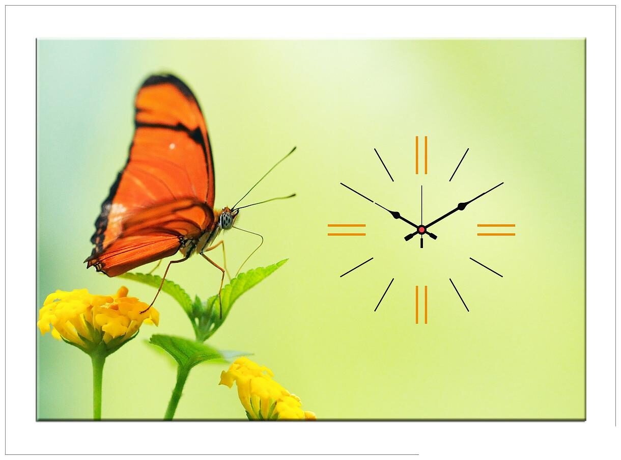 

Design O Vista Wood Canvas Analog Wall clock ( Set of 1 )