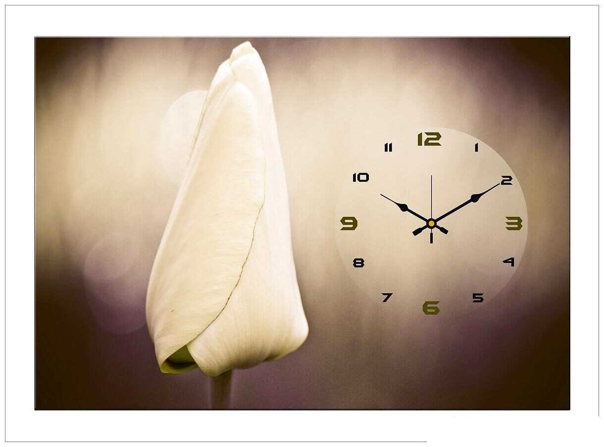 

Design O Vista Wood Canvas Analog Wall clock ( Set of 1 )