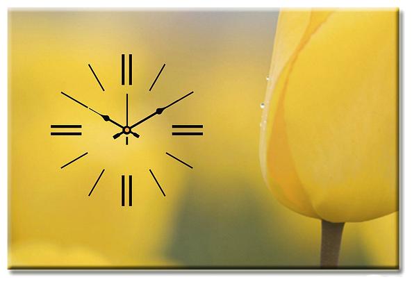 

Design O Vista Wood Canvas Analog Wall clock ( Set of 1 )