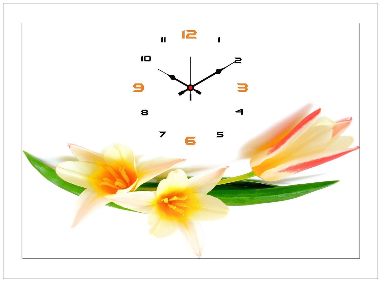

Design O Vista Wood Canvas Analog Wall clock ( Set of 1 )