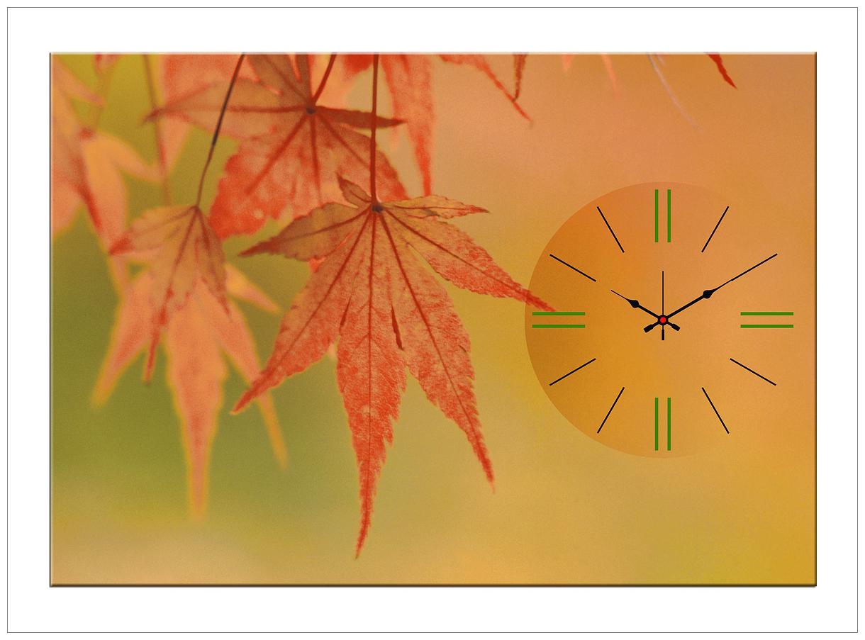 

Design O Vista Wood Canvas Analog Wall clock ( Set of 1 )