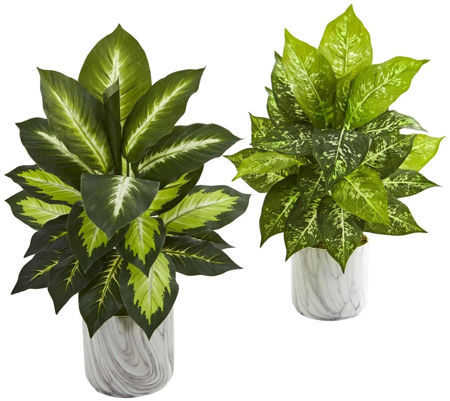 

Dieffenbachia Artificial Plant in Marble Finish Planter (Set