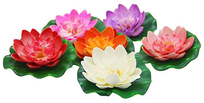 

Dilse Water Floating Lotus Assorted Artificial Flower -Set of 6