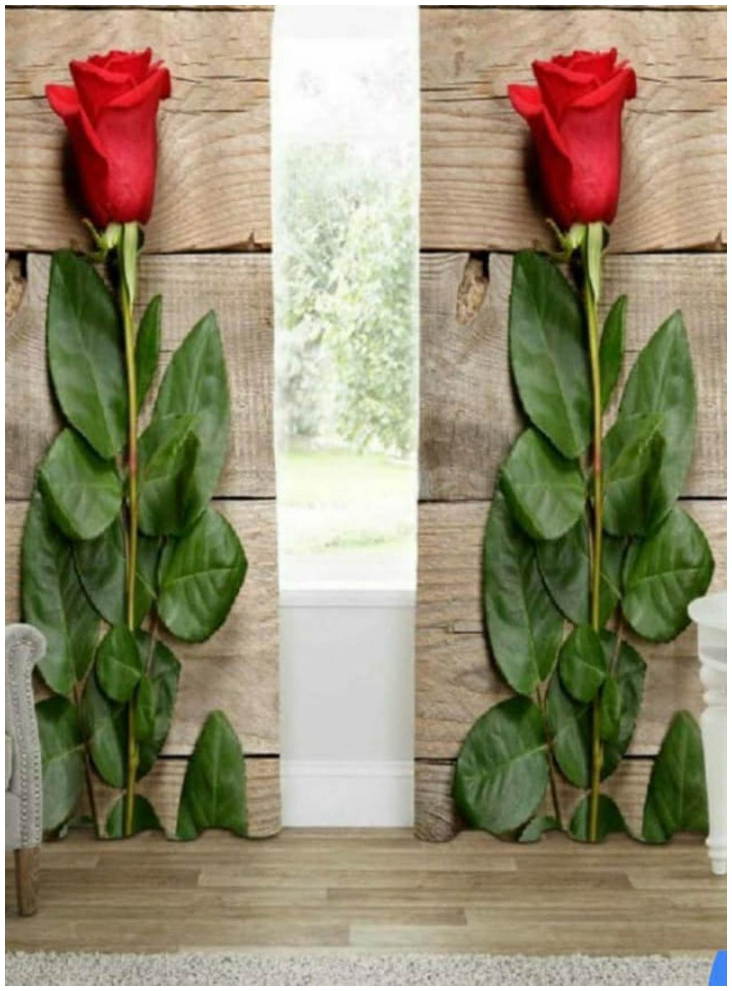 

DINGGA DECOR Polyester Window Blackout Multi Regular Curtain ( Eyelet Closure Printed )
