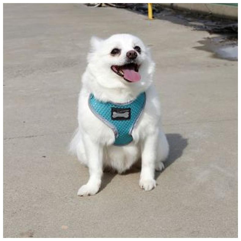 

Dog Body Harness 16 No Good for Pom Pugs Or Small Pups Good Quality Products Washable