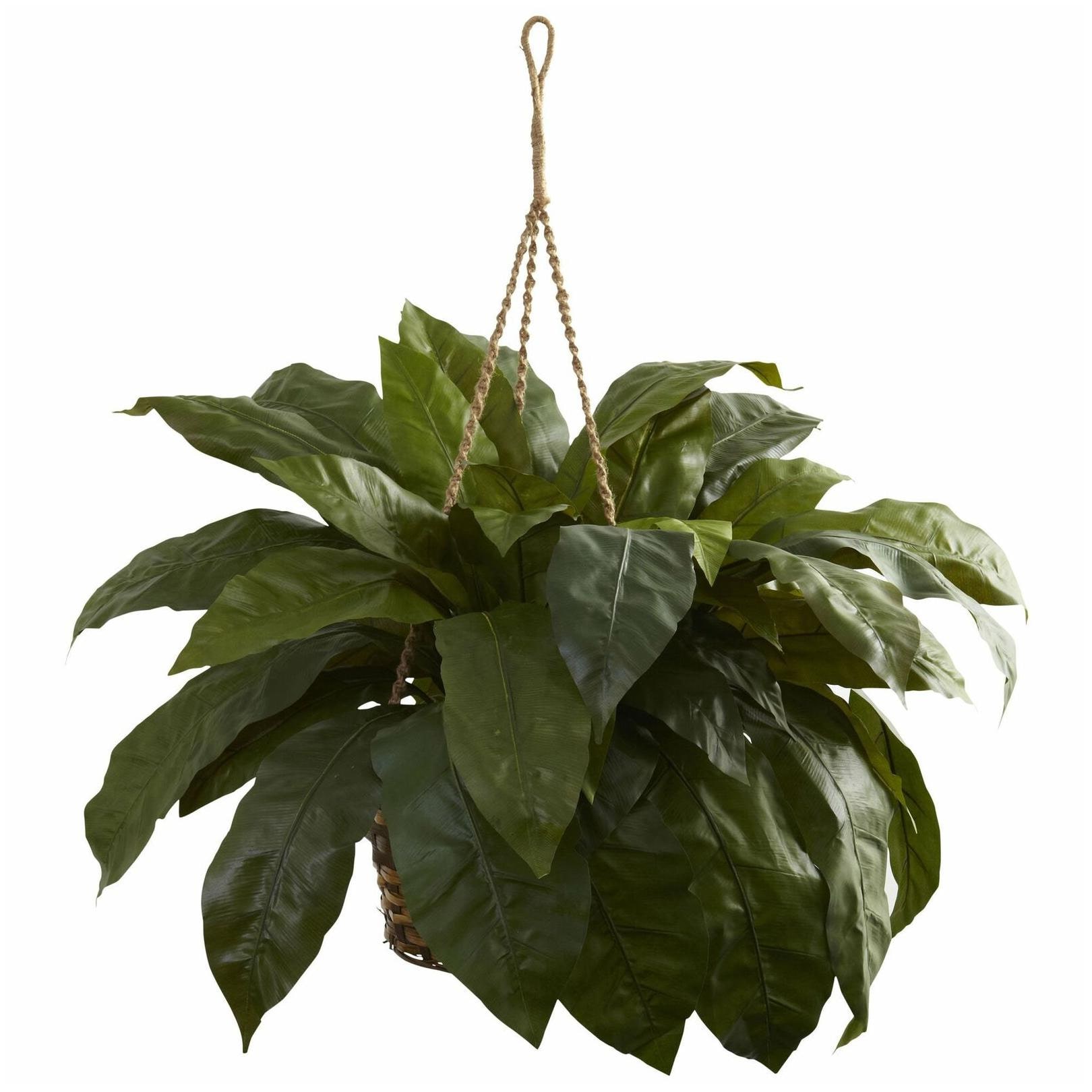 

Double Giant Birdsnest Hanging Basket