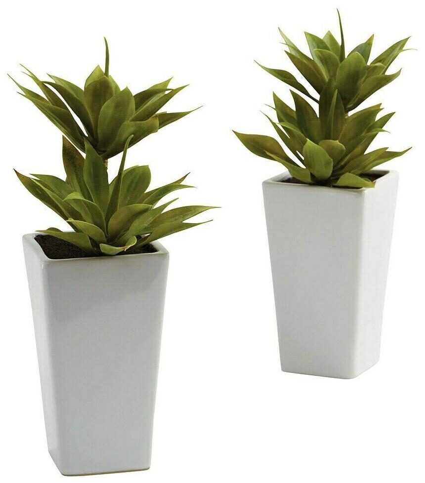 

Double Mini Agave and Planter Decorative Plants (Set of 2)