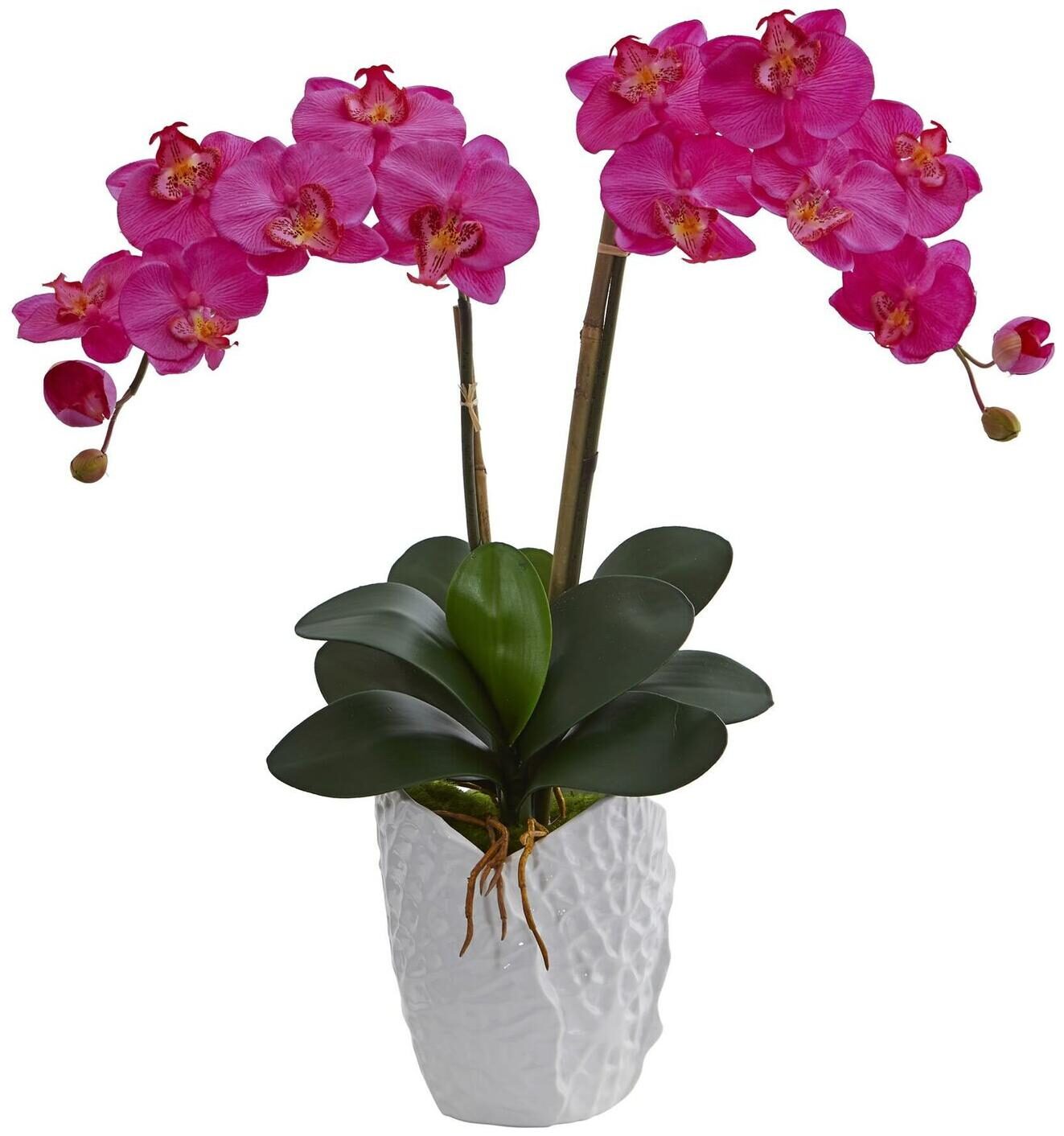 

Double Phalaenopsis Orchid Artificial Arrangement in White
