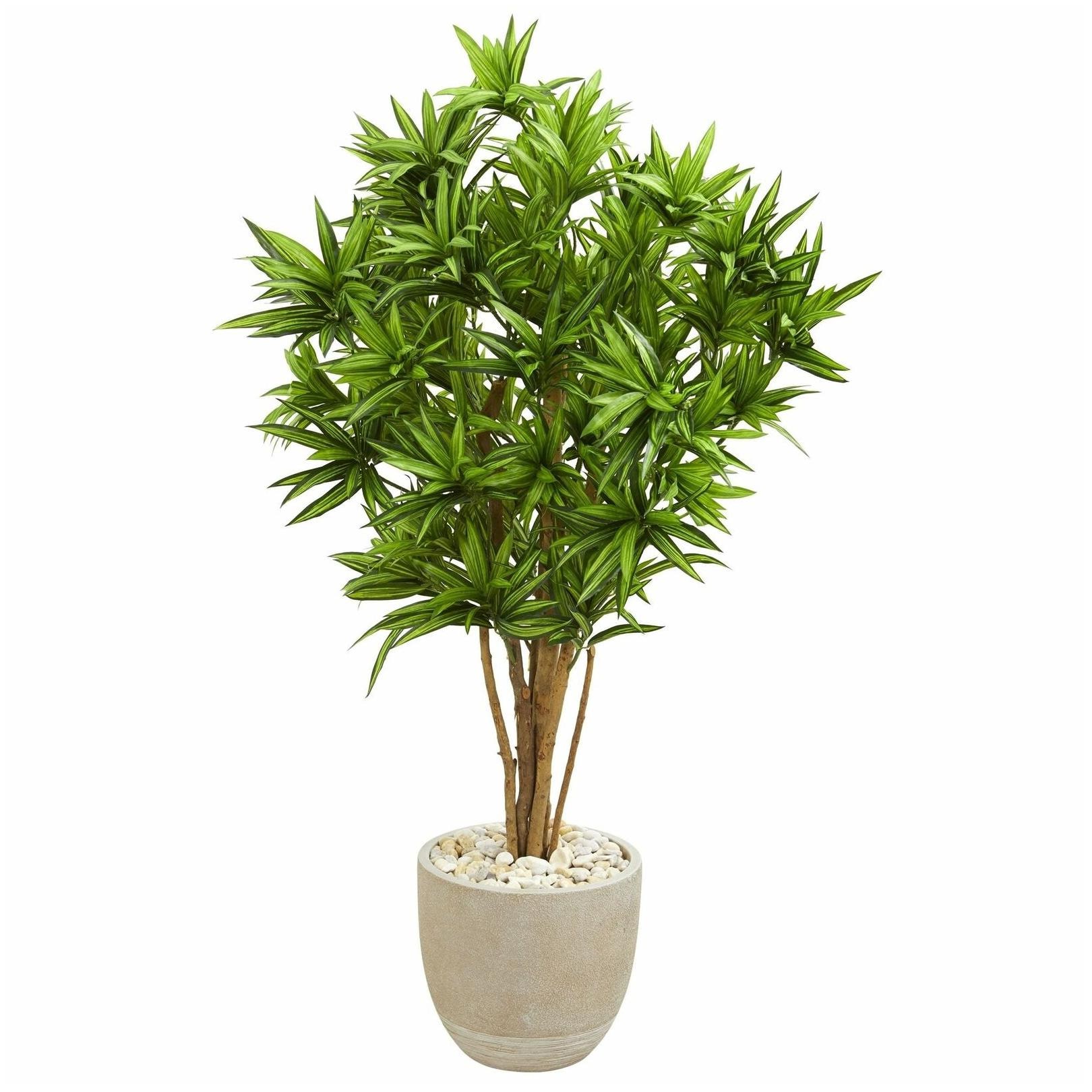

Dracaena Artificial Tree in Sandstone Planter