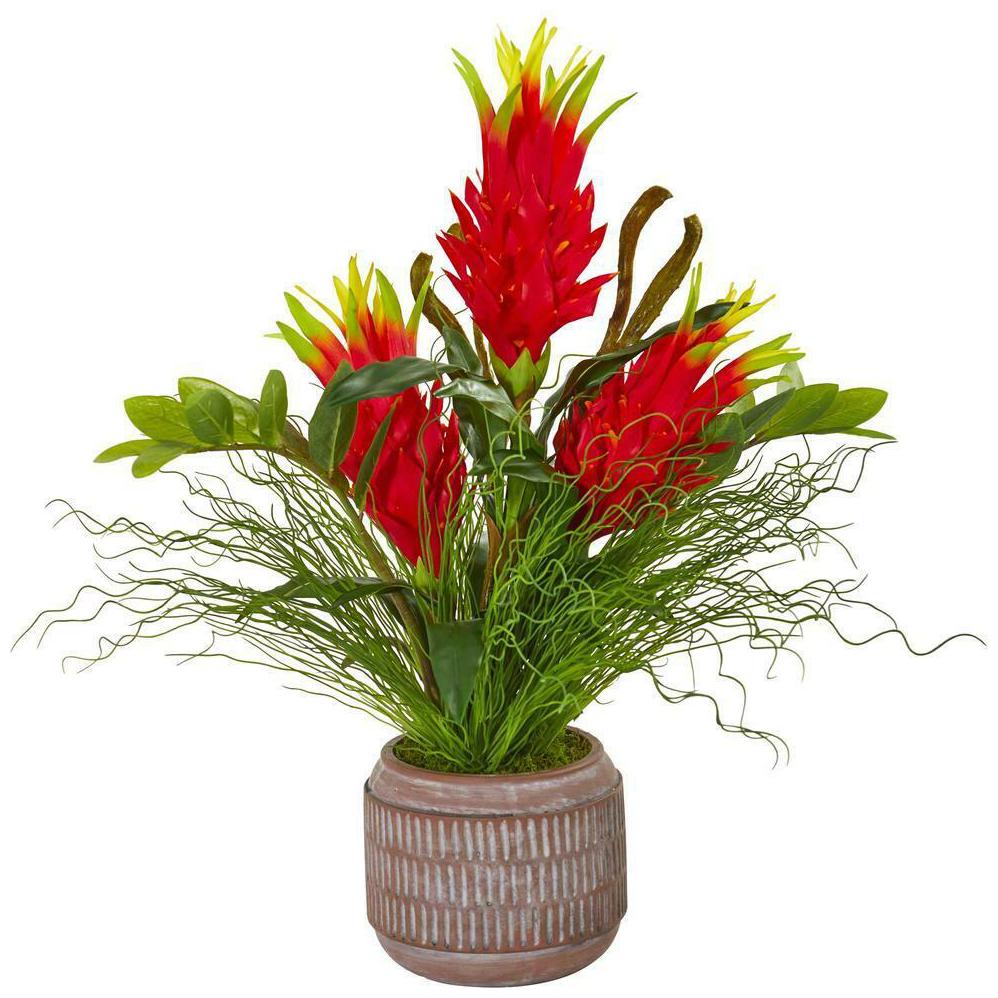 

Dragon Fruit Zamioculcas and Grass Artificial Arrangement Nearly Natural Decor