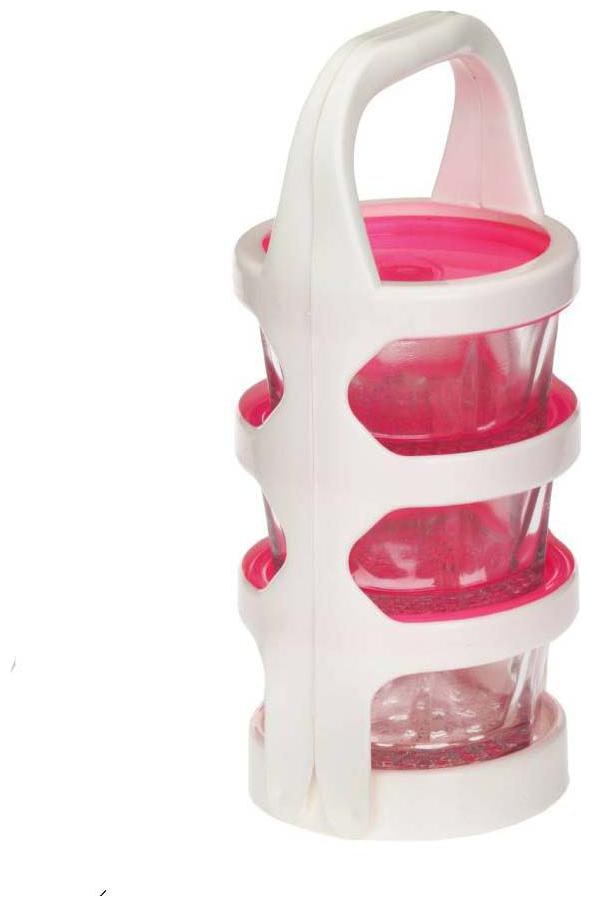 

Easy Carry Glass Plastic Picnic Tiffin 2 Containers