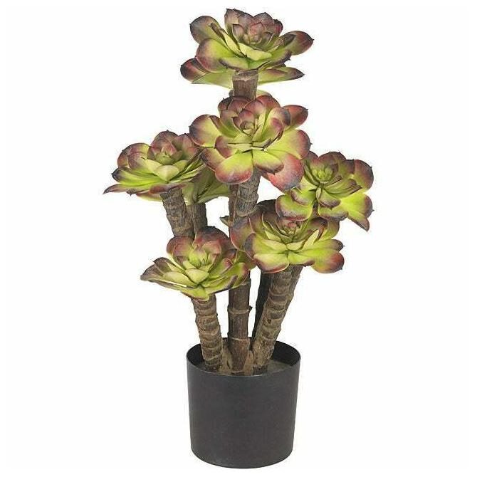 

Echeveria Succulent Silk Plant