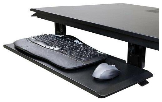 Ergotron Neo-Flex Notebook Lift Stand 33334085