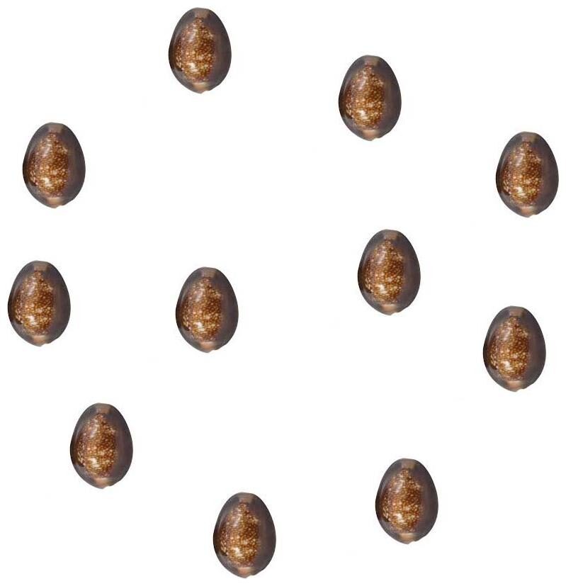 

Ever Forever Brown Cowrie Bhuri kaudi Laxmi Koudi Shells Set of 11 pcs