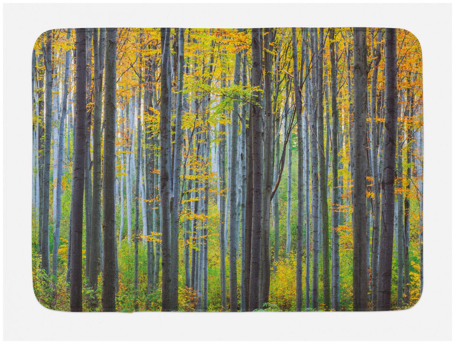 

Fall Bath Mat Autumn Season Beech Forest Non-Slip Plush Mat 29 5 X 17 5 Inches