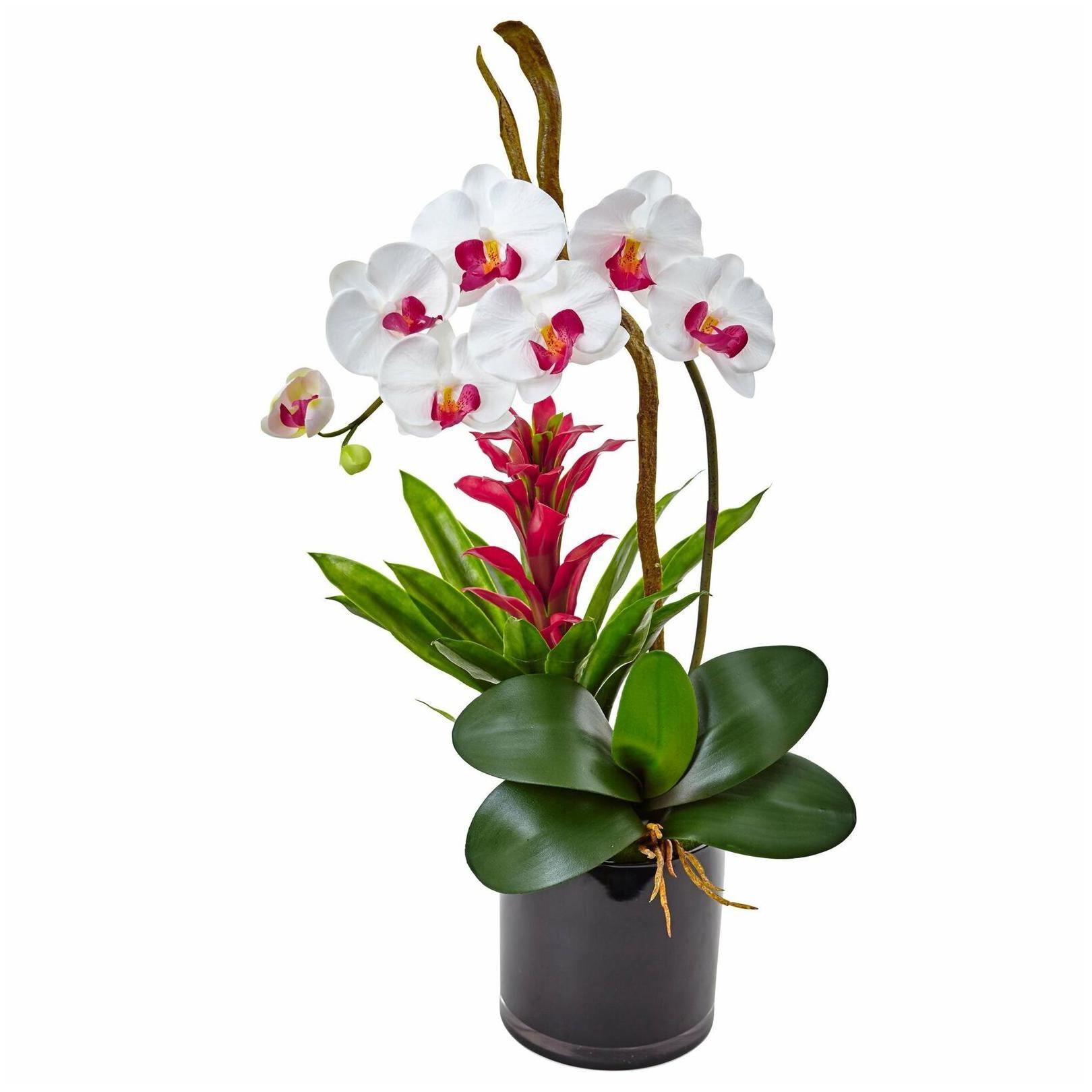 

Faux Orchid and Bromeliad Arrangement in a Glossy Black