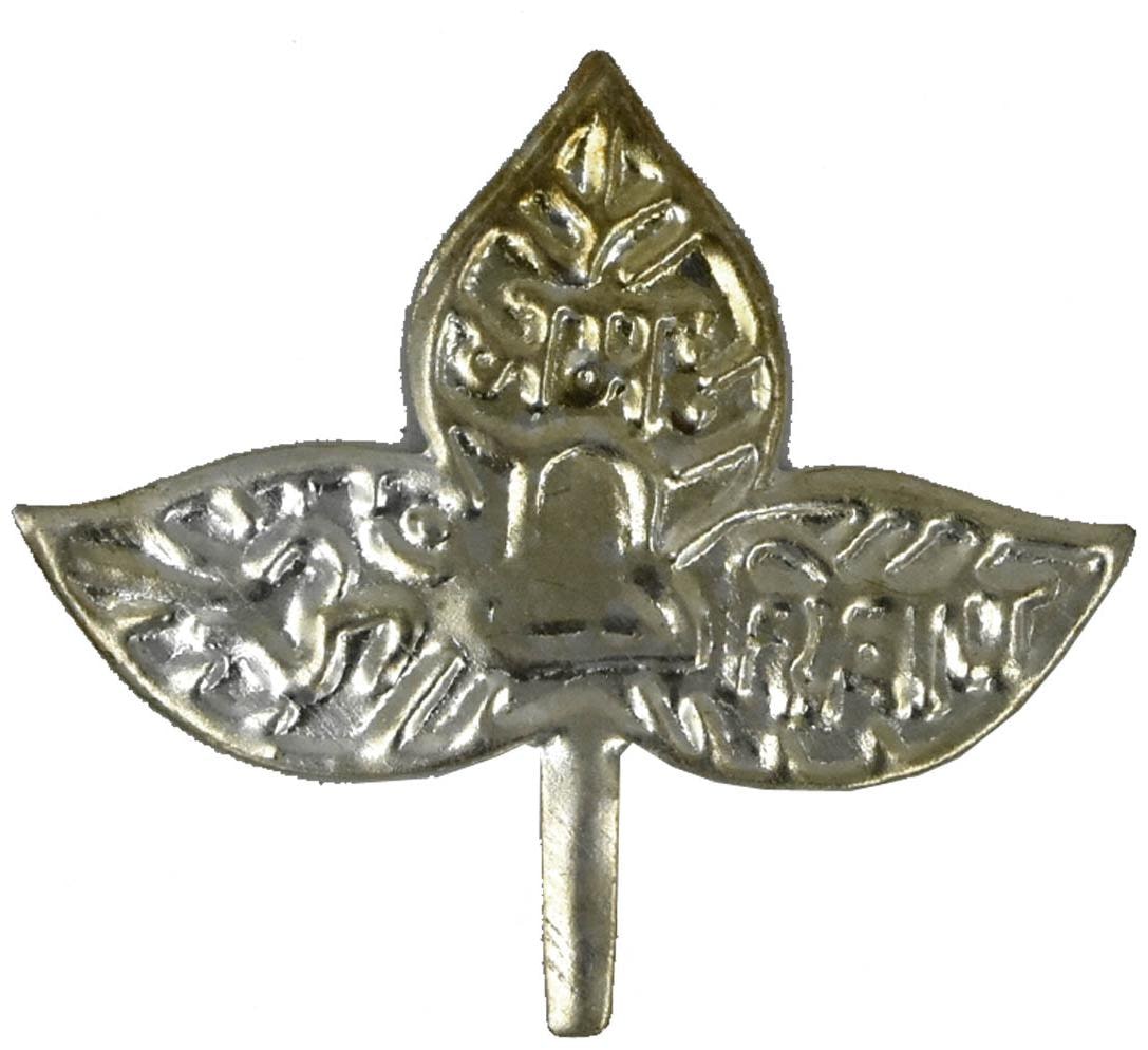 

Faynci Silver Plated Belpatra For Pooja