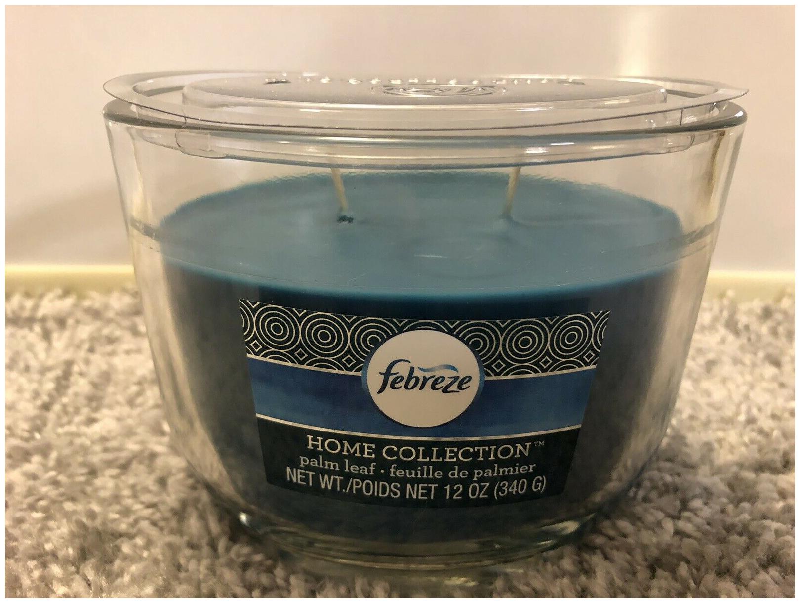

Febreze Home Collection Candle 12 oz 2-wick Oval Candle Palm Leaf Teal Blue