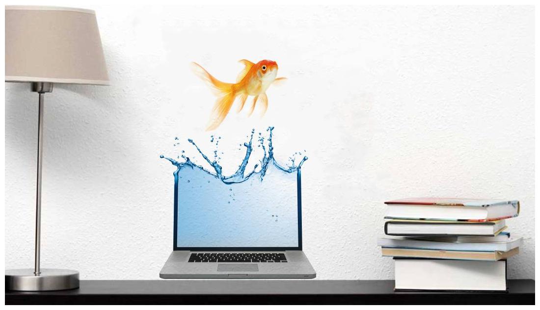 

Rawpockets Wall Stickers Fish and Laptop Abstract