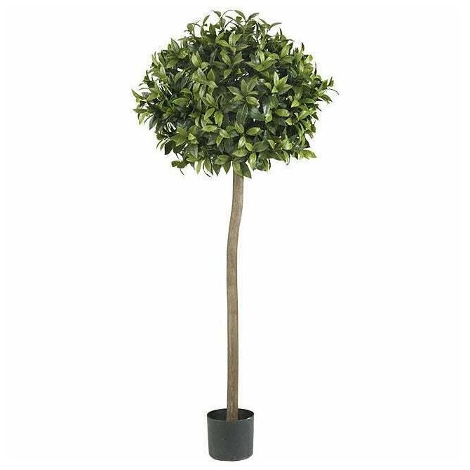 

Five-foot Sweet Bay Ball Topiary Silk Tree