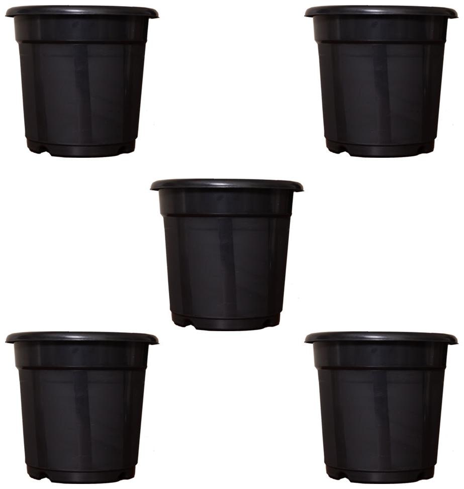 

Flower Pots 8 inch Set of 5 Plant Container ( External Height - 20 cm)