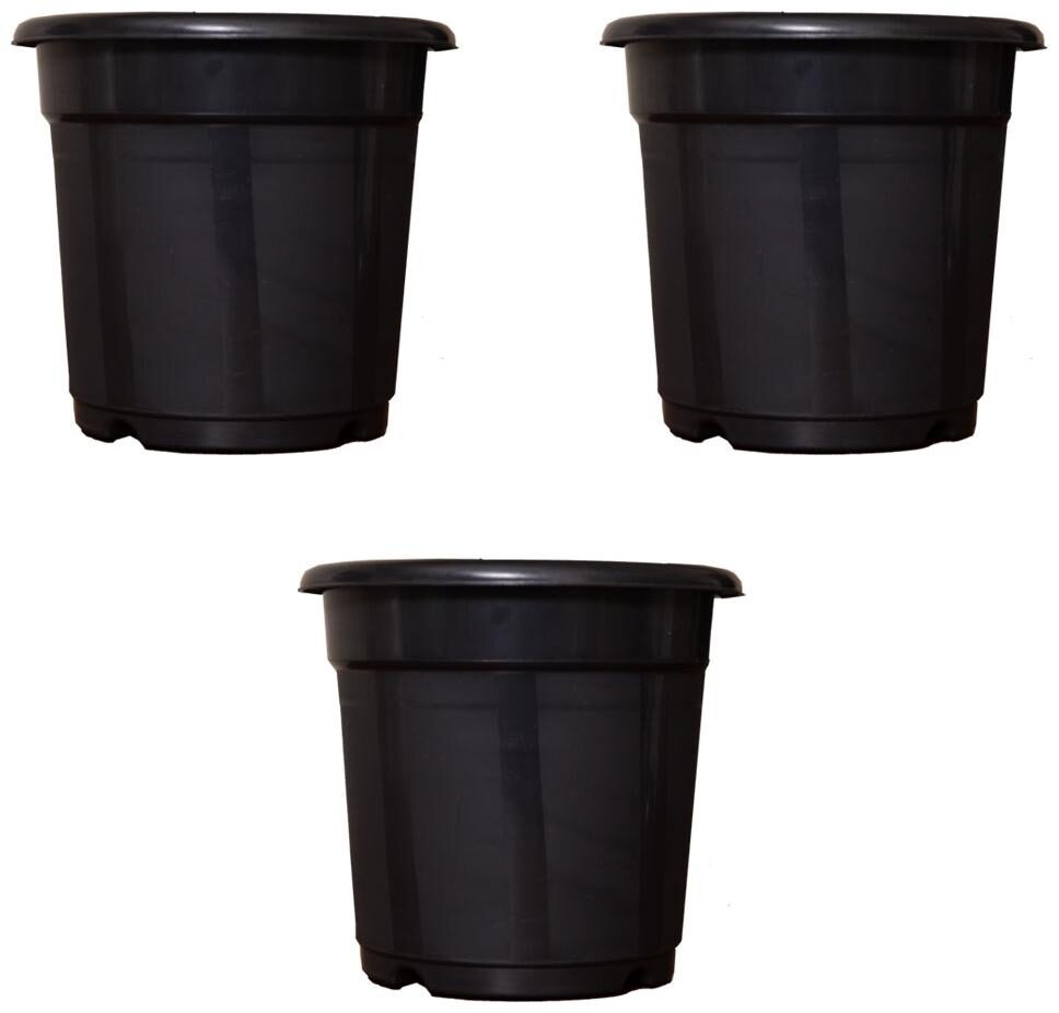 

Flower Pots 8 inch Set of 3 Plant Container ( External Height - 20 cm)