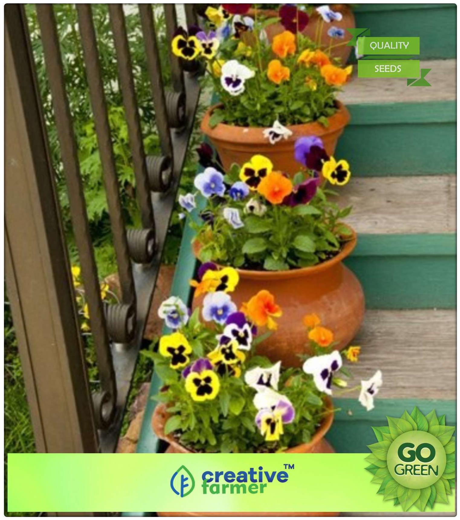 https://assetscdn1.paytm.com/images/catalog/product/H/HO/HOMFLOWER-SEED-CREA887477CBBDAE9/1563036753822_0..jpg