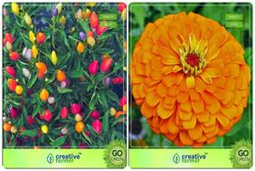 Flower Seeds : Flower Seeds Season Combo Ornamental Choice