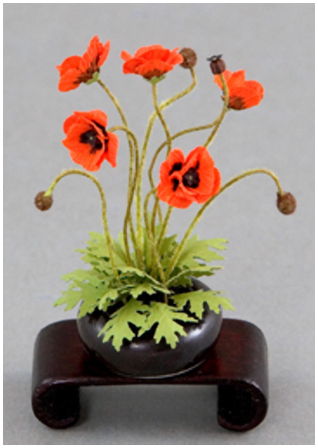 https://assetscdn1.paytm.com/images/catalog/product/H/HO/HOMFLOWER-SEEDSCREA887475EBD64C4/1563033875723_1..jpg