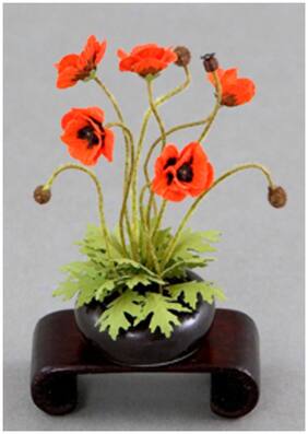 Flower Seeds : Papaver(Iceland Poppy)-Mixed Seeds Flower Plants Seeds For Mini Pots Garden [Home Garden Seeds Eco Pack] Plant Seeds By Creative Farmer