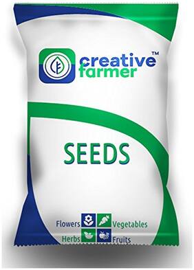 Flower Seeds : Phlox Twinkle Star Mixed Flower Seeds For Rainy Season Gardening Seeds Garden [Home Garden Seeds Eco Pack] Plant Seeds By Creative Farmer