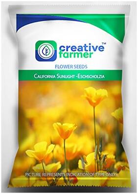 Flower Seeds For Dry Shade- California Sunlight -Eschscholzia Flower Seeds for Gardening - 1 Packet by Creative Farmer