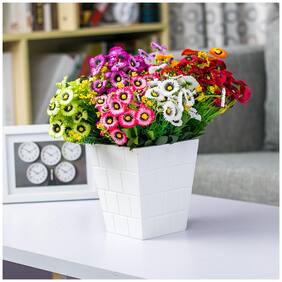 Flower Seeds : Daisy-Monstrosa Fresh Garden Mix Flower Seeds;Rarest Variety Winter Flower Seeds For Home Garden Garden [Home Garden Seeds Eco Pack] Plant Seeds By Creative Farmer