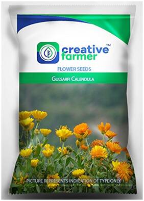 Flower Seeds Cottage Garden- Gulsarfi Calendula Flower Seeds for Gardening - 1 Packet by Creative Farmer