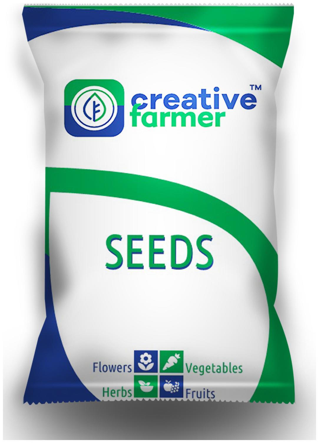 Buy Flower Seeds Vervain Blue Kitchen Garden Flower Seeds For Boundary Garden [Home Garden