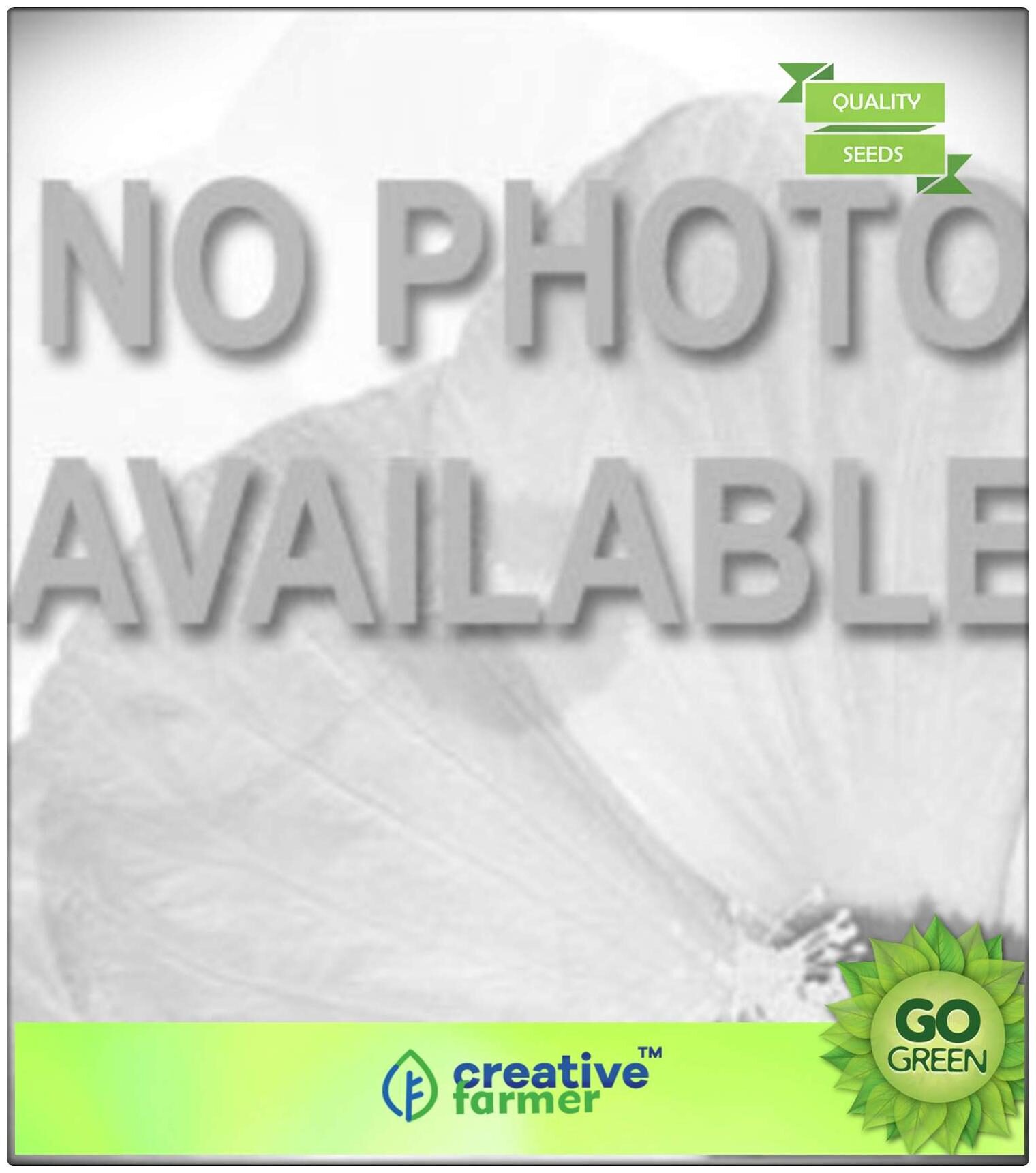 https://assetscdn1.paytm.com/images/catalog/product/H/HO/HOMFLOWER-SEEDSCREA88747E776E469/1563036573492_0..jpg
