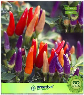 Flower Seeds Hybrid : Ornamental Chilli Red;Orange;Yellow;Purple;Lavender;And White Mixed Premium Kitchen Garden Plant Seeds