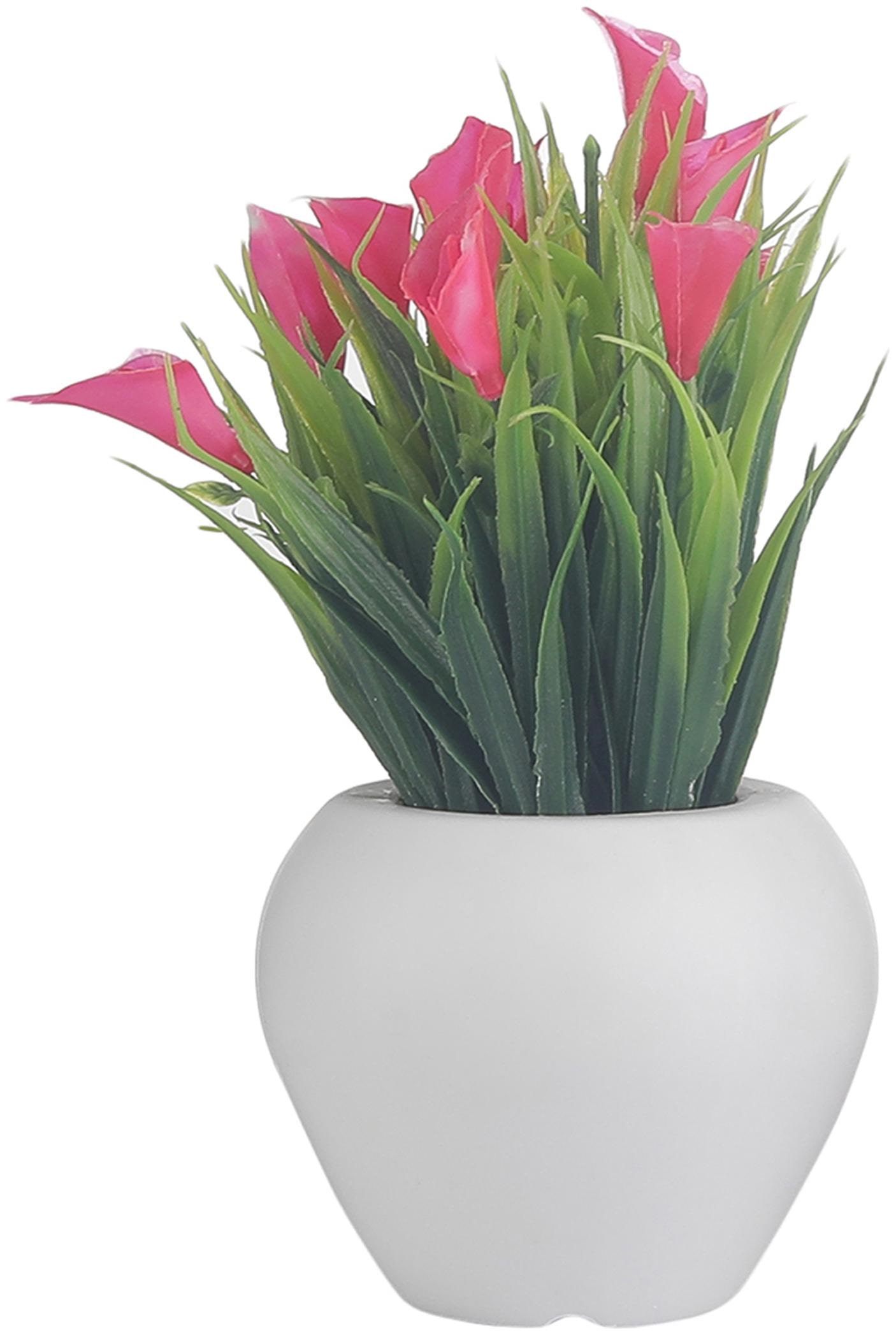 

Foliyaj Artificial Mini Plant with Thin Long Leaves with Pink Cynthia Flowers