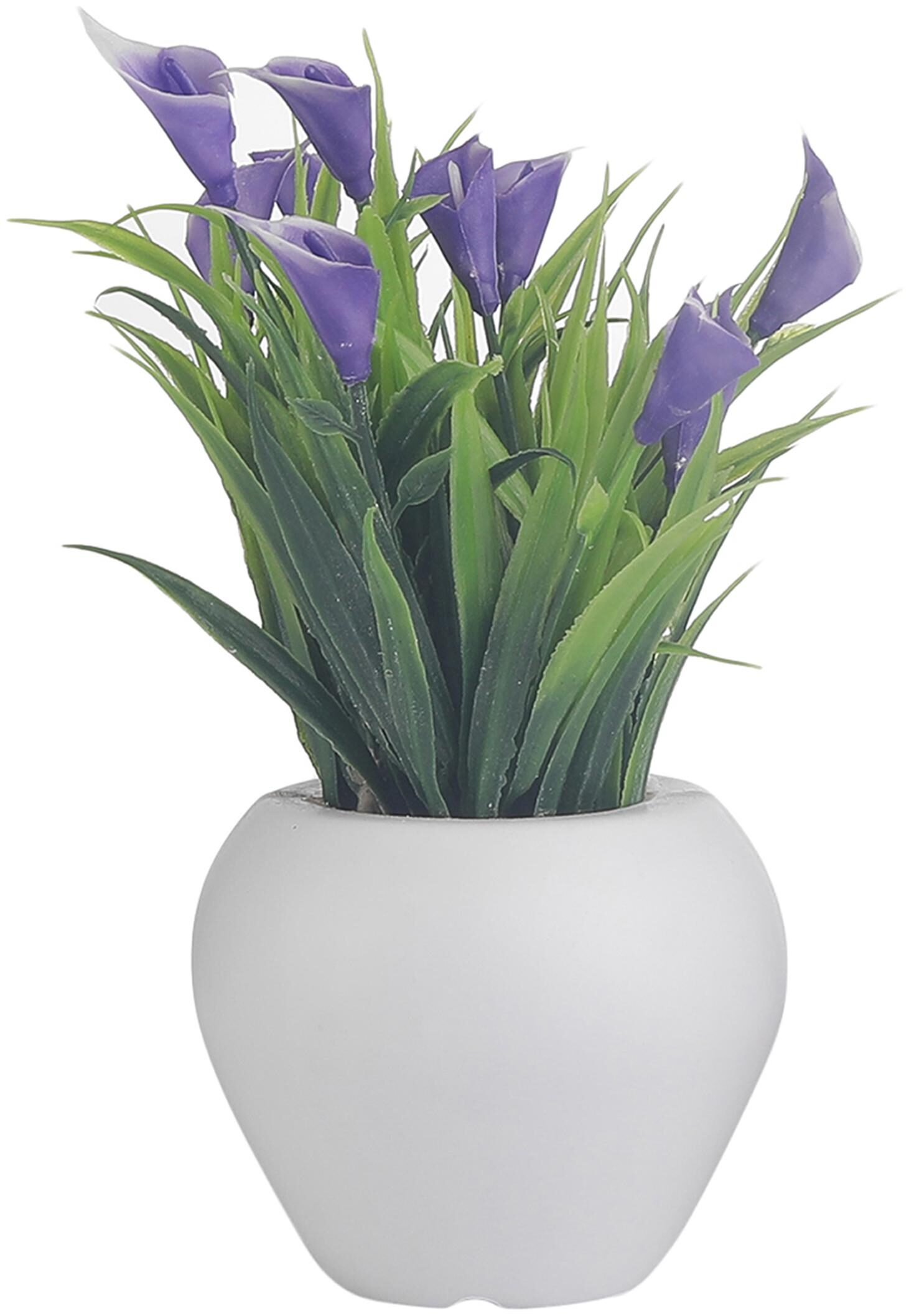 

Foliyaj Artificial Mini Plant with Thin Long Leaves with Purple Cynthia Flowers