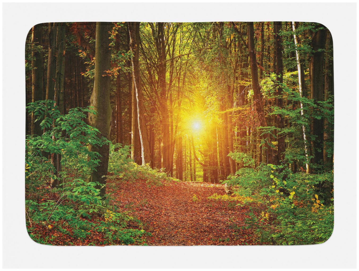 

Forest Bath Mat Pathway to Timberland Non-Slip Plush Mat 29 5 X 17 5 Inches