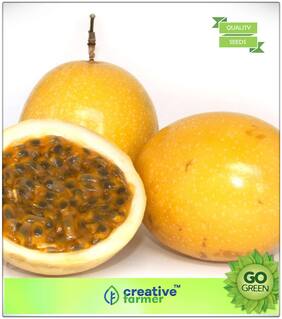 Fruit Bonsai Seeds : Passion Fruit - Yellow Fruit Seeds For Home Garden Fruit Seeds Premium Kitchen Garden Plant Seeds
