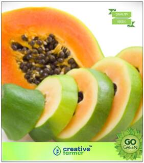 Fruit Bonsai Seeds : Indian Papaya Fruit Seeds Garden Fruit Seeds Bonsai Plant Seeds Premium Kitchen Garden Plant Seeds