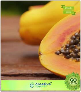 Fruit Bonsai Seeds : Yellow Flesh Papaya Fruit Seeds For Garden Bonsai Plant Seeds Premium Kitchen Garden Plant Seeds
