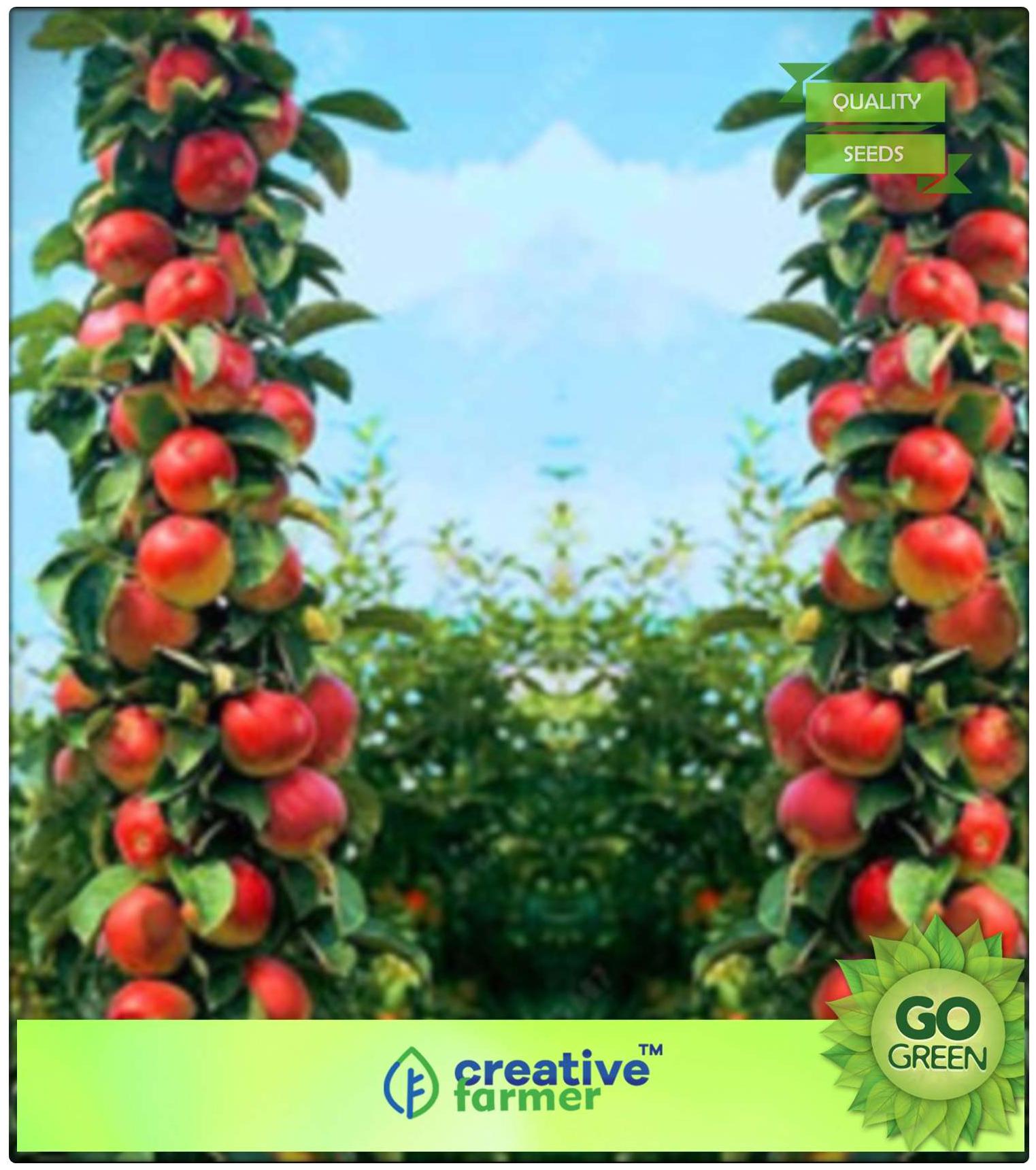 https://assetscdn1.paytm.com/images/catalog/product/H/HO/HOMFRUIT-PLANT-CREA8874734D1F8D8/1563112360241_0..jpg
