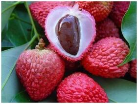 Fruit Seeds Sweet Lychee (Litchi) Fruit Exotic Plants Seeds 5 Seeds