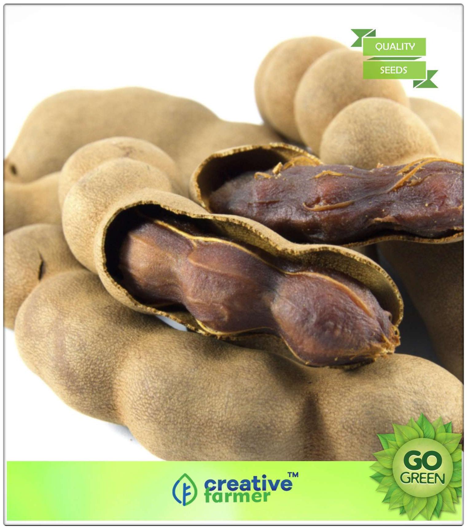 https://assetscdn1.paytm.com/images/catalog/product/H/HO/HOMFRUIT-SEEDS-CREA88747434195C8/1563112492957_0..jpg