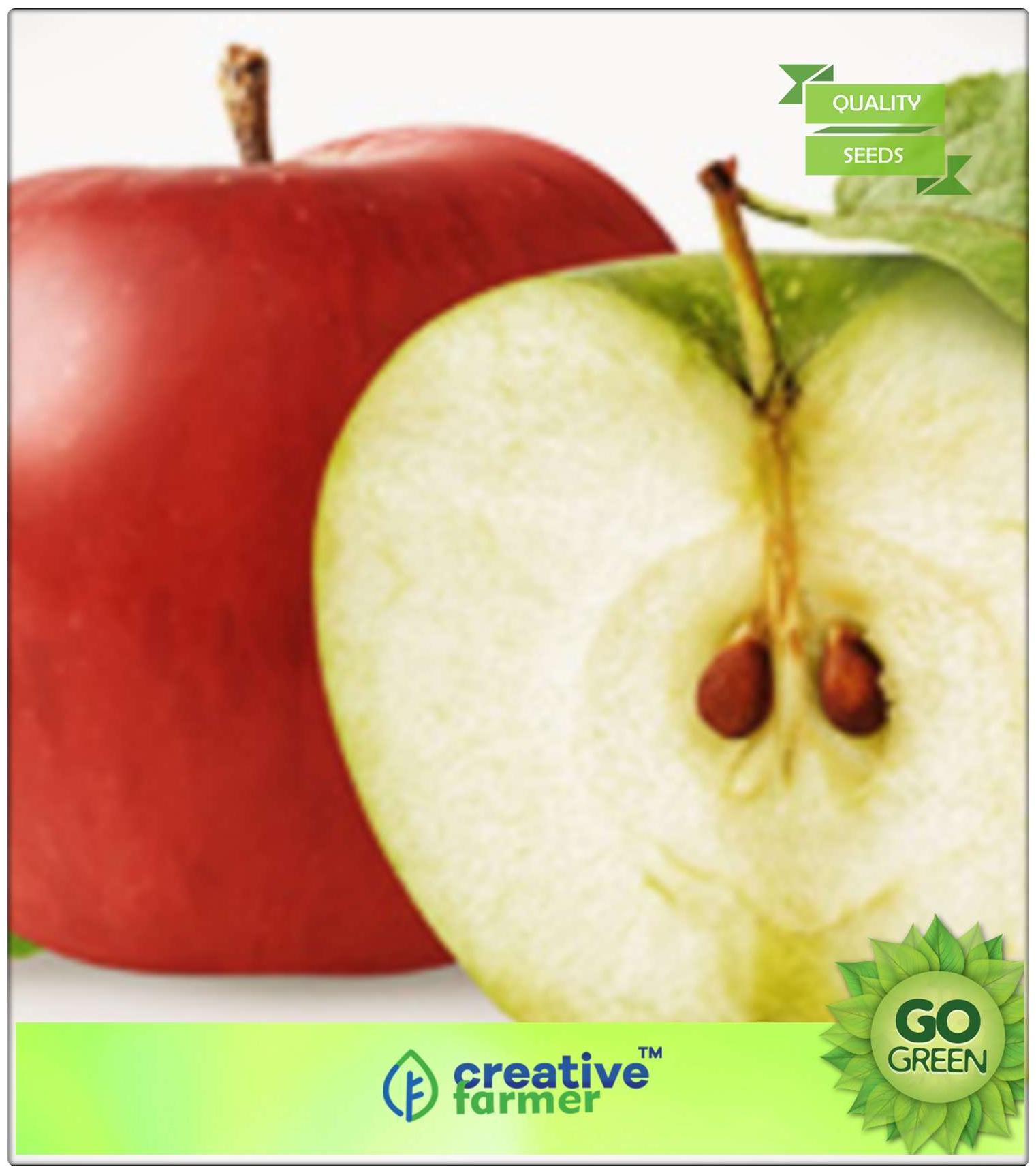https://assetscdn1.paytm.com/images/catalog/product/H/HO/HOMFRUIT-SEEDS-CREA8874762C4480/1563039814827_0..jpg
