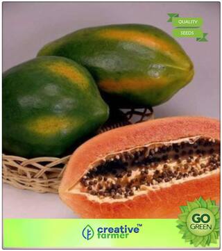 Fruit Seeds Hybrid Lady Papaya Seeds Fruit Seeds For Kitchen Garden Premium Kitchen Garden Plant Seeds