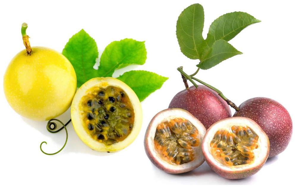 https://assetscdn1.paytm.com/images/catalog/product/H/HO/HOMFRUIT-SEEDS-CREA88747A6D86616/1563031092239_1..jpg