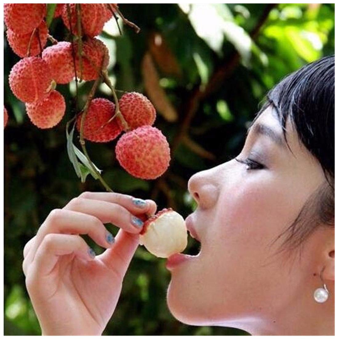 https://assetscdn1.paytm.com/images/catalog/product/H/HO/HOMFRUIT-SEEDS-CREA88747D4D38ADB/1563110682453_1..jpg